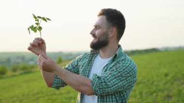 Deneyimli çiftçi, altın güneş ışığı altında ekili tarlalarda dikilirken kökleri ve yaprakları yakından inceleyen taze soya fasulyesini dikkatlice tutuyor.