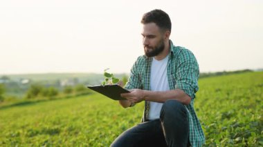 Ekin sağlığını değerlendiren deneyimli tarım uzmanı, yaz günü verimli tarlalarda çömelirken pano ve bitki örneklerini dikkatle tutuyor.