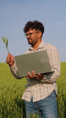 Agronomist, elinde dizüstü bilgisayarla bir buğday sapını incelerken açık mavi gökyüzünün altında duran bir buğday tarlasında tarımda teknolojinin kullanıldığını öne sürüyor.