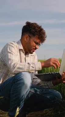 Modern tarım uzmanı, veri analizi ve ekin yönetimi için bir buğday alanında dizüstü bilgisayar kullanır ve verimliliği artırmak için teknolojiyi benimser.