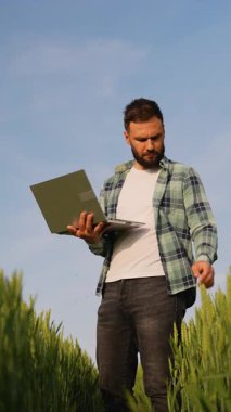 Modern tarım uygulamaları arasında bir çiftçinin buğday tarlasında dizüstü bilgisayar kullanması, muhtemelen büyümeyi izlemesi, piyasa fiyatlarını kontrol etmesi veya tarım operasyonlarını yönetmesi yer alıyor.