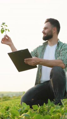 Agronomist bir soya filizini analiz ediyor, elinde bir pano tutuyor, tarımsal alanda büyüme ve sağlığı belgeleme olasılığı yüksek, sürdürülebilir tarım uygulamalarına katkıda bulunuyor