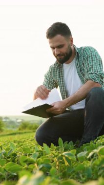 Agronomist soya fasulyesi tarlasında diz çöker, bitkileri dikkatle inceler ve gözlemlerini bir panoya özenle kaydeder, sürdürülebilir tarım uygulamalarına katkıda bulunur.