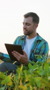 Genç tarımcı, tarladaki soya fasulyesini incelemek için tablet kullanıyor, akıllı tarım ve kalite kontrolü için modern teknolojiyi kullanarak verimli ve sürdürülebilir bir hasat sağlıyor.