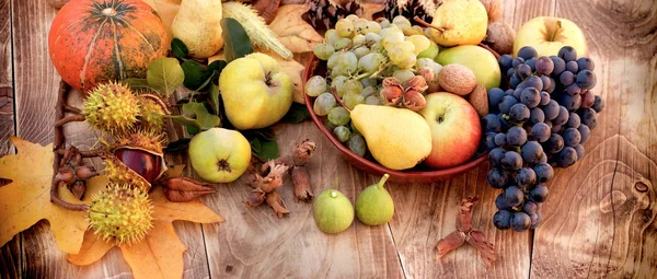 Ernte Auf Dem Tisch Biologisches Gesundes Obst Der Saison Erntedank — Stockfoto