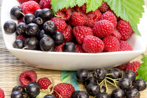 Fruit Strong Antioxidant Healthy Eating Blackcurrant Chokeberry Aronia Raspberry — Stock Photo, Image