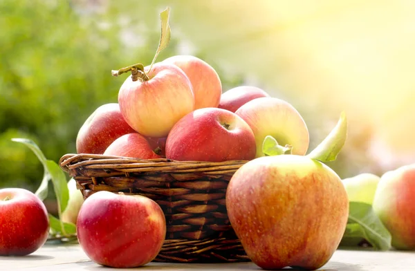 Manzanas Canasta Mimbre Mesa Manzana Orgánica Saludable —  Fotos de Stock