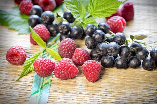 Framboesa Groselha Preta Chokeberry Aronia Fruta Orgânica Saudável Antioxidante Saudável — Fotografia de Stock