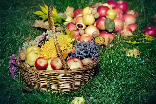 Thanksgiving Herfst Oogst Seizoensgebonden Fruit Rieten Mand — Stockfoto