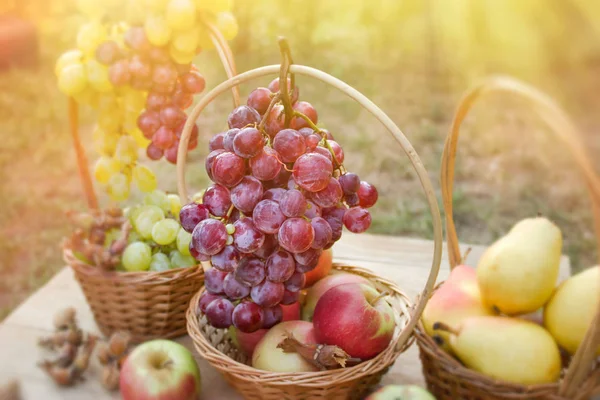 Weintraube Auf Dem Tisch Weinberg Herbstfrucht Herbsternte — Stockfoto