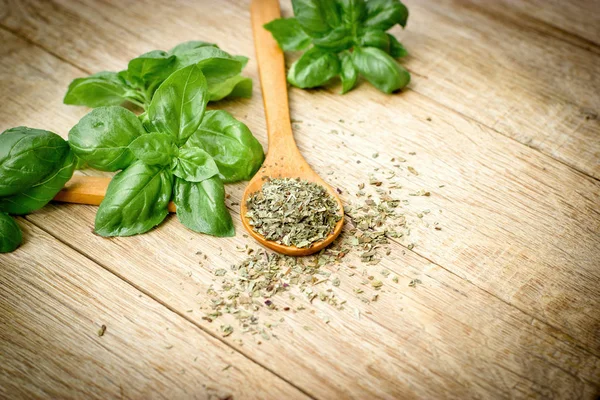 Basil - dry, dried and fresh basil in spoon on table