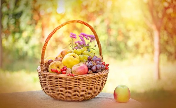 秋の果物 籐のバスケットに季節の有機フルーツ — ストック写真