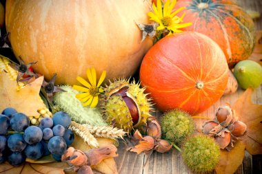 Cadılar Bayramı, Şükran günü - mevsimlik meyve ve sebze sonbahar