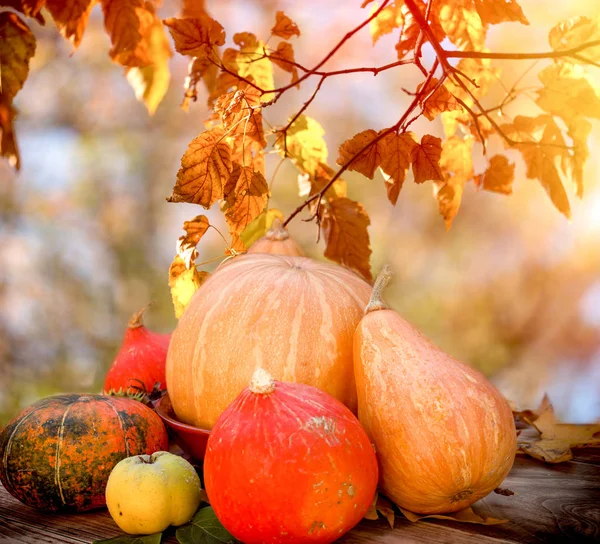 Höstens Skörd Bordet Thanksgiving Säsongsöppen Ekologisk Frukt Och Grönsaker — Stockfoto