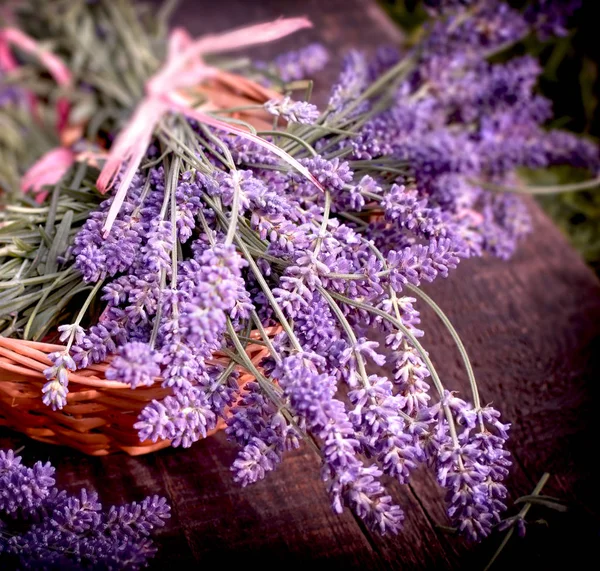 Lavendelblüte Lavendelstrauß Weidenkorb Nahaufnahme — Stockfoto