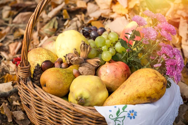 Jesienne Owoce Sezonowe Organiczny Owoc Wiklinowym Koszu — Zdjęcie stockowe