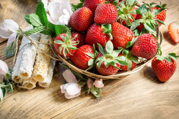 Saftige Und Köstliche Bio Erdbeere Weidenkorb — Stockfoto