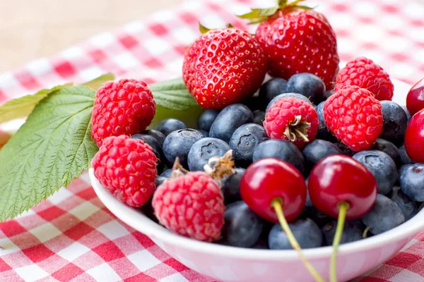 Forest Berry Healty Organic Fruit Bowl Closeup — Stock Photo, Image