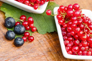 Yaban mersini ve kuş üzümü, sağlıklı orman berry meyve - sağlıklı gıda