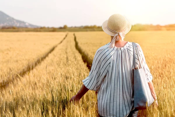 女性は小麦畑を歩き 女性は農業分野を歩き 収穫時期は来る — ストック写真
