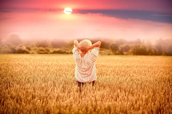 夕暮れ時の小麦畑の女夕日時の美しい小麦畑の女 — ストック写真