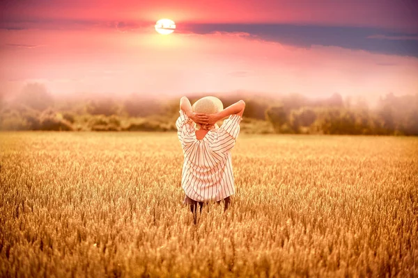 Vrouw Tarweveld Bij Zonsondergang Schemering Vrouw Prachtig Tarweveld Bij Zonsondergang — Stockfoto