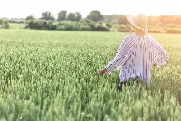 小麦畑の女女は小麦の穂を手に持つ — ストック写真