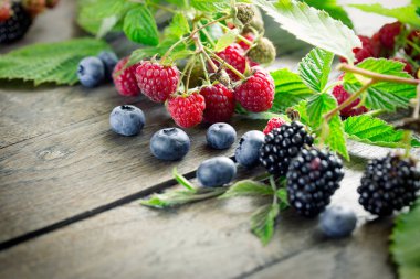 Böğürtlen, ahududu, vejetaryen gıda yaban mersini, vejetaryen yeme