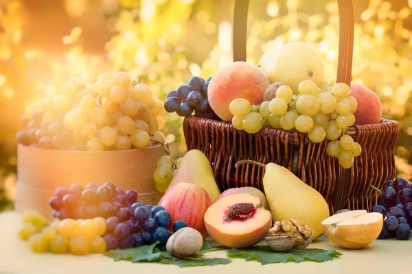 Őszi Szüret Ínycsiklandó Lédús Őszi Gyümölcsök — Stock Fotó