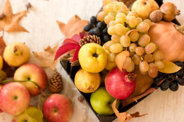 季节水果和蔬菜 感恩节 收获在桌上 — 图库照片