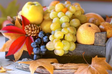 Tahta sandıkta sonbahar meyvesi ve sebze. 