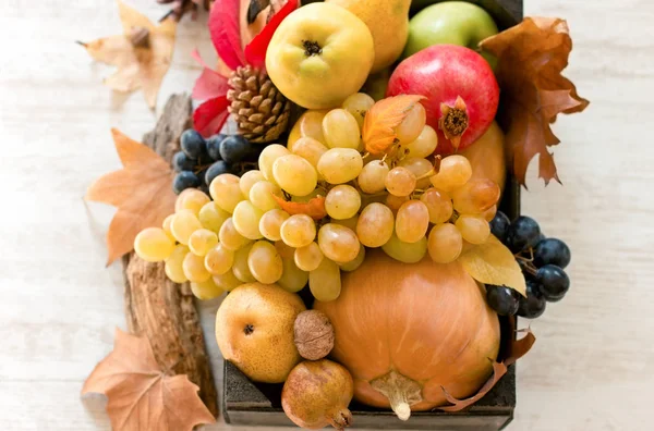 Herbsternte Saisonales Bio Obst Und Gemüse Kisten — Stockfoto