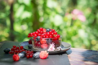Dışarıdaki masada cam kasede organik kırmızı frenk üzümü.