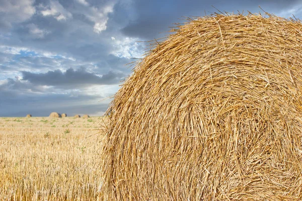 Straw bale on agricultural field and dramatic cloudy sky, beautiful landscape after harvest, straw rolls in meadow