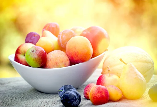 Saisonale Bio Früchte Schale Auf Dem Tisch — Stockfoto