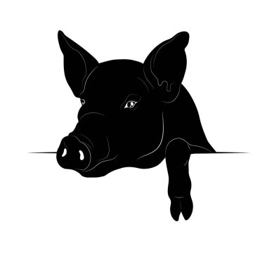 Vektör çizim. Siyah bir domuz silüeti