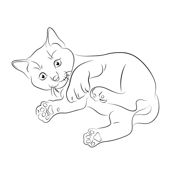 Ilustração Vetorial Esboço Gatinho —  Vetores de Stock