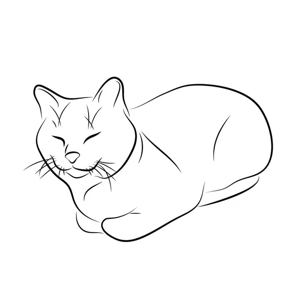 Vector Illustration Sketch Domestic Cat — Stock Vector
