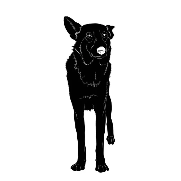 Vectorillustratie Zwarte Hond Geïsoleerd Witte Achtergrond — Stockvector