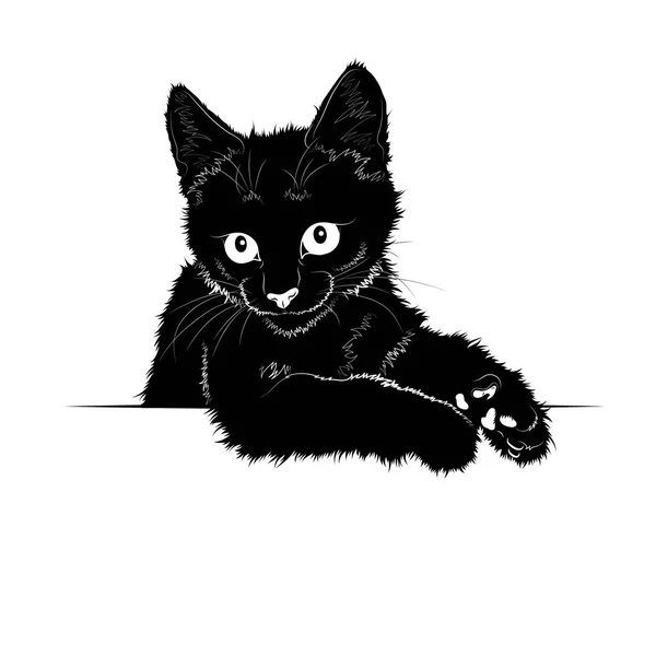 Illustration Vectorielle Silhouette Noire Chat — Image vectorielle