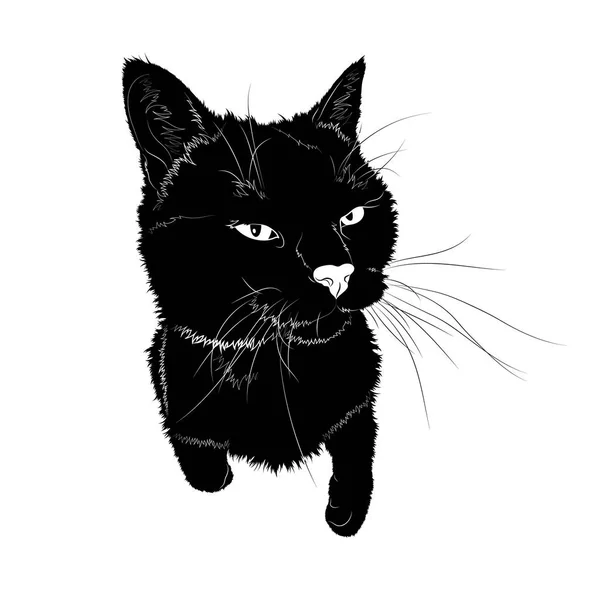 Vektör Çizim Arka Ayakları Üzerinde Bir Kara Kedi Duran Silüeti — Stok Vektör