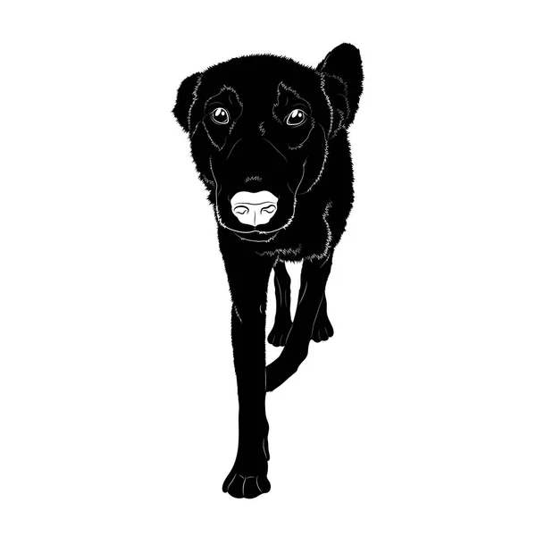 Ilustracja Wektorowa Czarny Białym Białym Tle Pies — Wektor stockowy