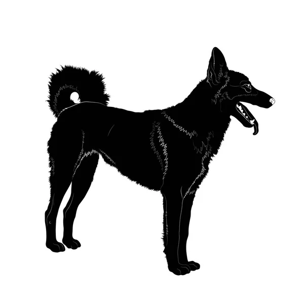 Illustration Vectorielle Silhouette Chien Noir Isolé Sur Fond Blanc — Image vectorielle