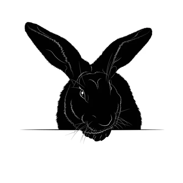 Vector Illustration Black Silhouette Rabbit — Stock Vector
