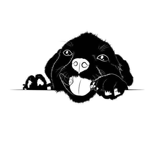 Vector Illustration Black Puppy Silhouette — Stock Vector