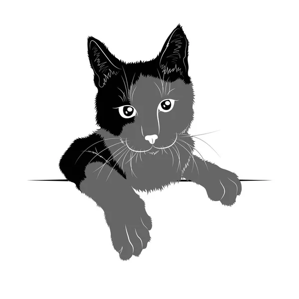 Vector Tekening Silhouet Gespot Nieuwsgierige Katten — Stockvector