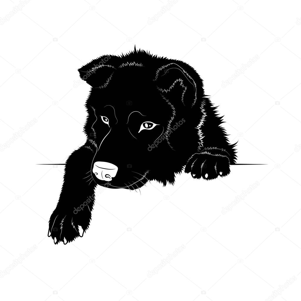Vector illustration. Black silhouette of a dog