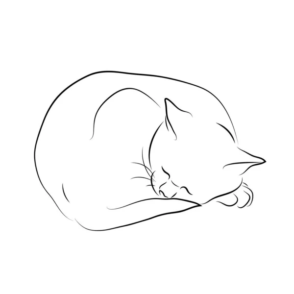 Vektor Illustration Sovande Katt Skiss Eps — Stock vektor