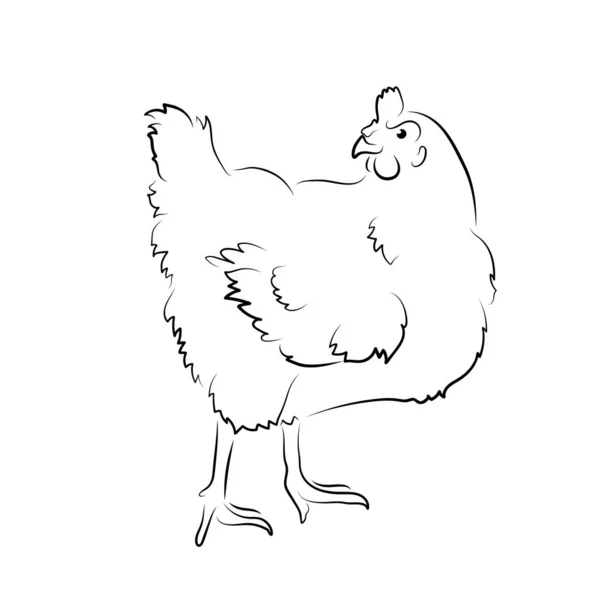 Illustrazione Vettoriale Pollo Disegno Eps — Vettoriale Stock