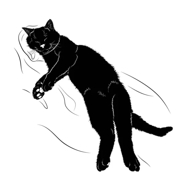 Illustration Vectorielle Silhouette Noire Chat Endormi Eps — Image vectorielle